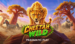 Pragmatic Play - Cheetah Wild