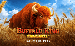 Pragmatic Play - Buffalo King Megaways