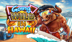 Boomerang - Going Wild In Hawaii