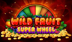 Wizard Games - Wild Fruit Super Wheel