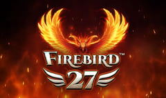 Synot - Firebird 27