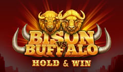 Tom Horn Gaming - Bison vs Buffalo
