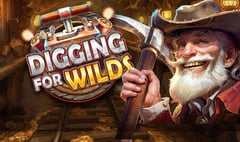 Red Tiger - Digging for Wilds