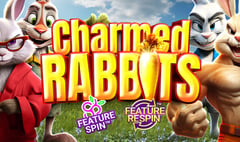 Spinberry - Charmed Rabbits
