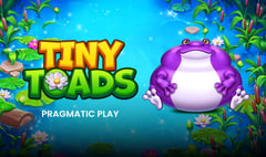 Pragmatic Play - Tiny Toads