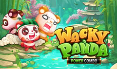 Slingshot Studios - Wacky Panda Power Combo