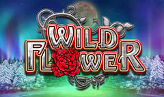 Big Time Gaming - Wild Flower