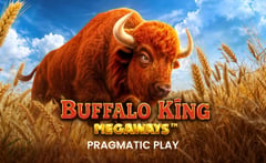 Pragmatic Play - Buffalo King Megaways