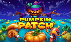 Habanero - Pumpkin Patch