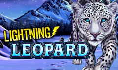 Lightning Box - Lightning Leopard