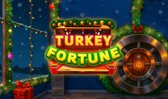 Spinberry - Turkey Fortune