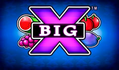 Synot - Big X