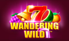Synot - Wandering Wild