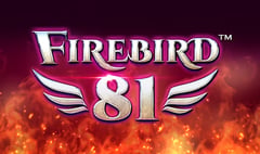 Synot - Firebird 81