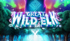 NextGen - Great Wild Elk