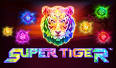 Skywind - Super Tiger
