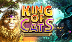 Big Time Gaming - King of Cats