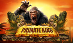 Red Tiger - Primate King