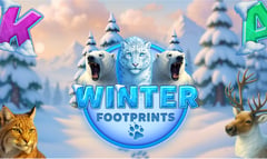 Spinberry - Winter Footprints