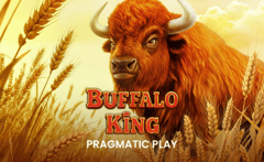 Pragmatic Play - Buffalo King
