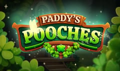 Indigo Magic - Paddy’s Pooches