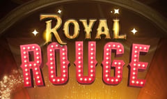Darwin - Royal Rouge