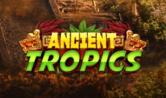 FBM - Ancient Tropics FBM Mythic Link