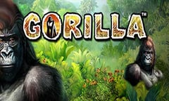 Greentube - Gorilla