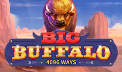 Skywind - Big Buffalo