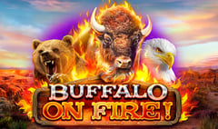Red Rake - Buffalo on Fire