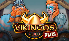 MGA - Vikingos Gold Plus