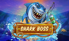 Red Tiger - Shark Boss