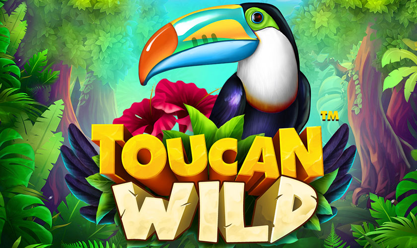 Skywind - Toucan Wild